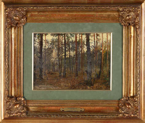 Жуковский Станислав Юлианович. Этюд «Сосновый лес» 